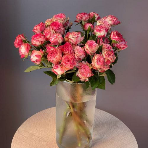 Роза ярко-розовая